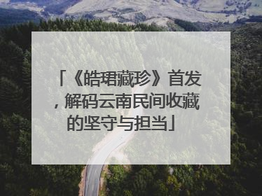 《皓珺藏珍》首发，解码云南民间收藏的坚守与担当