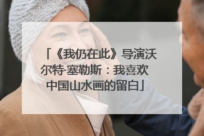 《我仍在此》导演沃尔特·塞勒斯：我喜欢中国山水画的留白