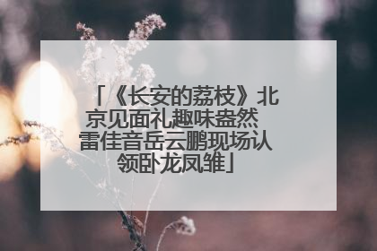 《长安的荔枝》北京见面礼趣味盎然 雷佳音岳云鹏现场认领卧龙凤雏