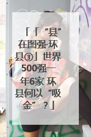 「“县”在图强·环县③」世界500强一年6家 环县何以“吸金”？