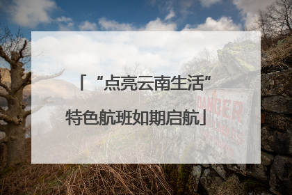 “点亮云南生活”特色航班如期启航