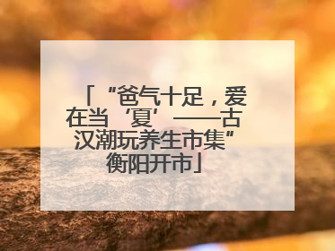 “爸气十足，爱在当‘夏’——古汉潮玩养生市集”衡阳开市