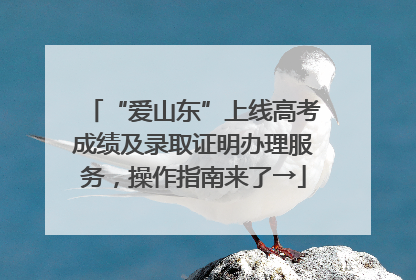 “爱山东”上线高考成绩及录取证明办理服务，操作指南来了→