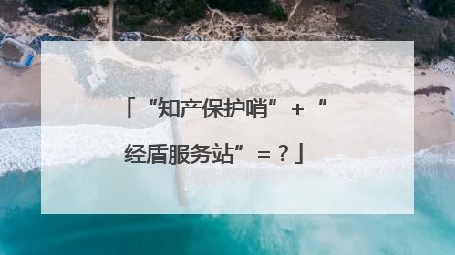 “知产保护哨”+“经盾服务站”=？