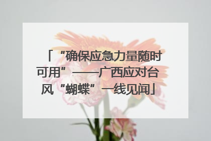 “确保应急力量随时可用”——广西应对台风“蝴蝶”一线见闻