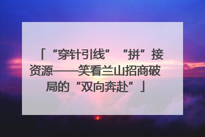 “穿针引线”“拼”接资源——笑看兰山招商破局的“双向奔赴”