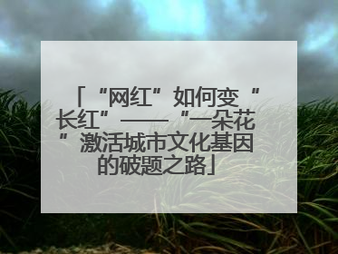 “网红”如何变“长红”——“一朵花”激活城市文化基因的破题之路