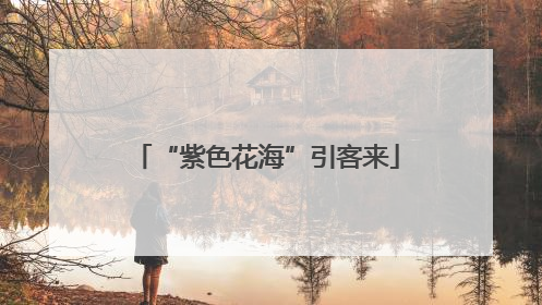 “紫色花海”引客来