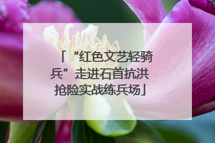 “红色文艺轻骑兵”走进石首抗洪抢险实战练兵场
