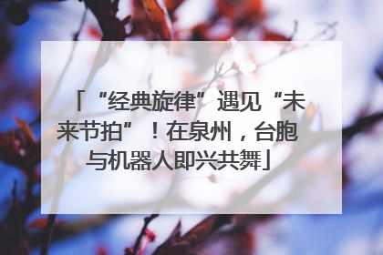 “经典旋律”遇见“未来节拍”！在泉州，台胞与机器人即兴共舞