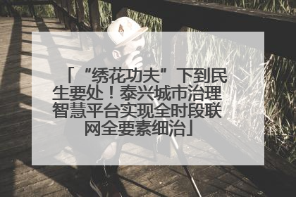 “绣花功夫”下到民生要处！泰兴城市治理智慧平台实现全时段联网全要素细治