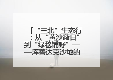 “三北”生态行：从“黄沙蔽日”到“绿毯铺野”——浑善达克沙地的“绿色重生”