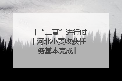 “三夏”进行时丨河北小麦收获任务基本完成