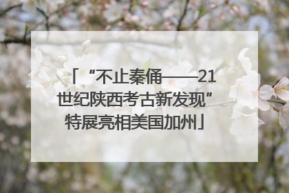 “不止秦俑——21世纪陕西考古新发现”特展亮相美国加州