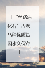 “丝路活化石”古老马种优质基因永久保存
