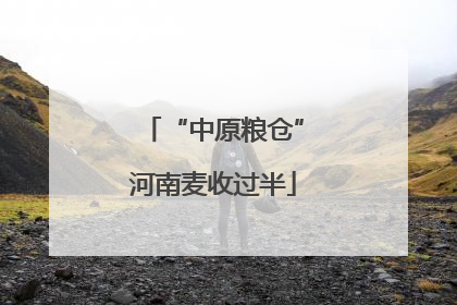 “中原粮仓”河南麦收过半