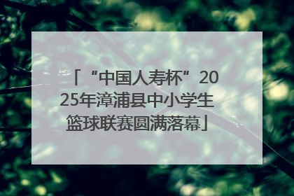 “中国人寿杯”2025年漳浦县中小学生篮球联赛圆满落幕