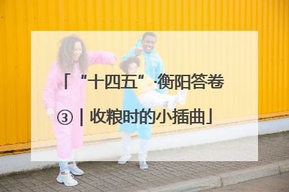 “十四五”·衡阳答卷③｜收粮时的小插曲