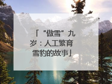 “傲雪”九岁：人工繁育雪豹的故事