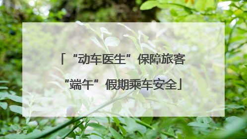 “动车医生”保障旅客“端午”假期乘车安全
