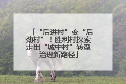 “后进村”变“后劲村”！胜利村探索走出“城中村”转型治理新路径