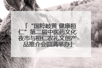 “国粹岐黄 健康桓仁”第二届中医药文化夜市与桓仁农礼文创产品推介会圆满举办