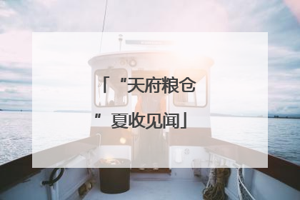 “天府粮仓”夏收见闻