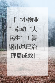 “小物业”牵动“大民生”！舞钢市基层治理显成效