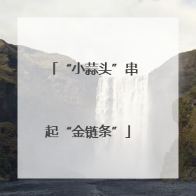 “小蒜头”串起“金链条”