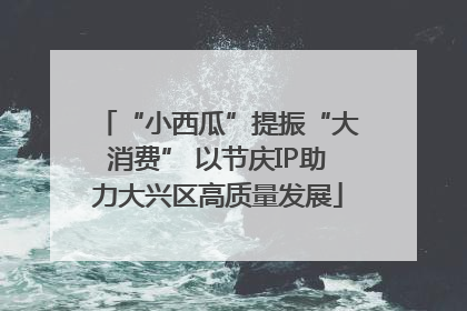 “小西瓜”提振“大消费” 以节庆IP助力大兴区高质量发展