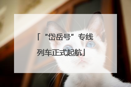 “岱岳号”专线列车正式起航