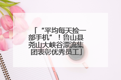 “平均每天捡一部手机”！鲁山县尧山大峡谷漂流集团表彰优秀员工