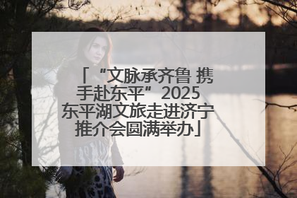 “文脉承齐鲁 携手赴东平”2025东平湖文旅走进济宁推介会圆满举办
