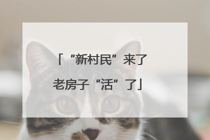 “新村民”来了 老房子“活”了