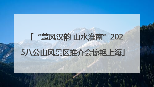 “楚风汉韵 山水淮南”2025八公山风景区推介会惊艳上海