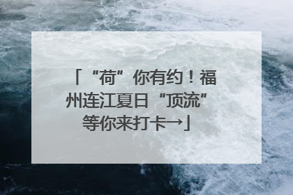 “荷”你有约！福州连江夏日“顶流”等你来打卡→