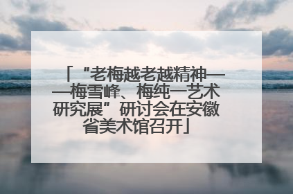 “老梅越老越精神——梅雪峰、梅纯一艺术研究展”研讨会在安徽省美术馆召开
