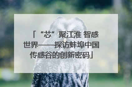 “芯”聚江淮 智感世界——探访蚌埠中国传感谷的创新密码