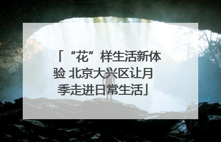 “花”样生活新体验 北京大兴区让月季走进日常生活