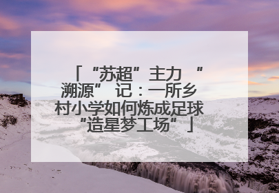 “苏超”主力 “溯源” 记：一所乡村小学如何炼成足球 “造星梦工场”