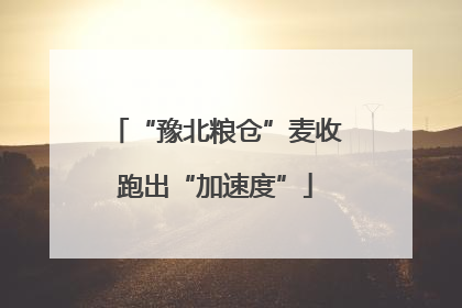 “豫北粮仓”麦收跑出“加速度”