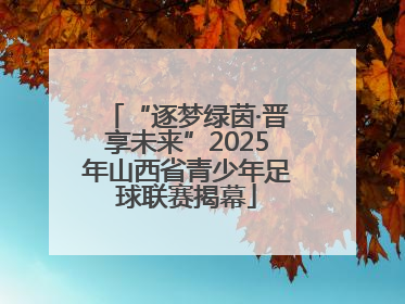 “逐梦绿茵·晋享未来”2025年山西省青少年足球联赛揭幕