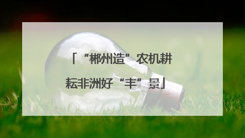 “郴州造”农机耕耘非洲好“丰”景