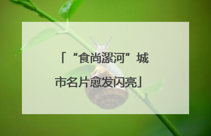 “食尚漯河”城市名片愈发闪亮