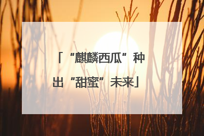 “麒麟西瓜”种出“甜蜜”未来