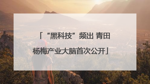 “黑科技”频出 青田杨梅产业大脑首次公开