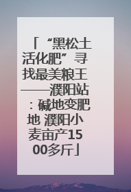 “黑松土活化肥”寻找最美粮王——濮阳站：碱地变肥地 濮阳小麦亩产1500多斤