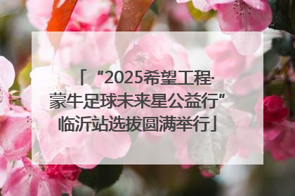 “2025希望工程·蒙牛足球未来星公益行”临沂站选拔圆满举行