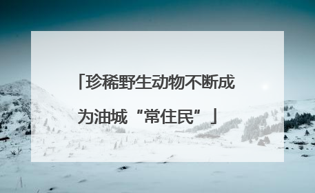 珍稀野生动物不断成为油城“常住民”