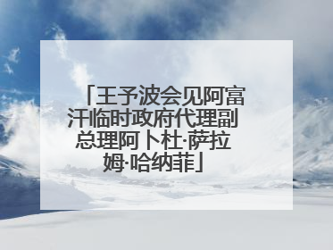 王予波会见阿富汗临时政府代理副总理阿卜杜·萨拉姆·哈纳菲